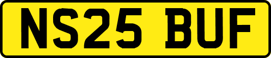 NS25BUF