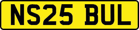 NS25BUL