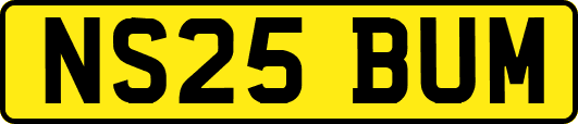 NS25BUM