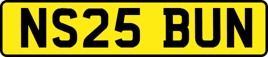 NS25BUN