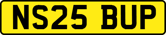 NS25BUP