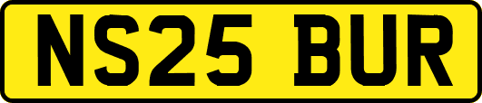 NS25BUR