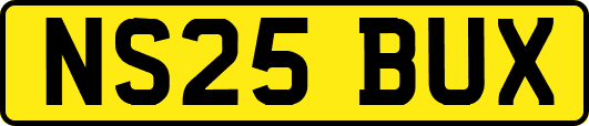 NS25BUX