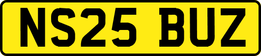 NS25BUZ