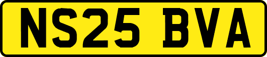 NS25BVA