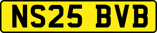 NS25BVB
