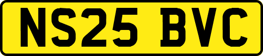 NS25BVC