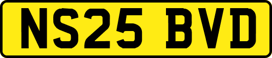 NS25BVD