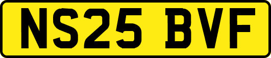 NS25BVF