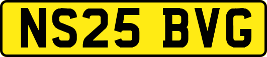 NS25BVG