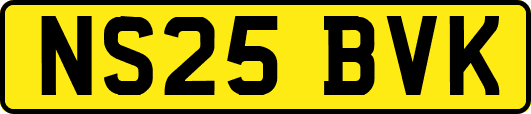 NS25BVK