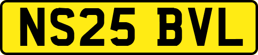 NS25BVL
