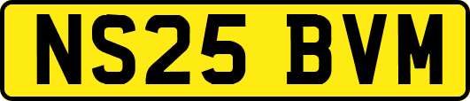 NS25BVM