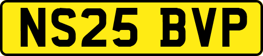NS25BVP