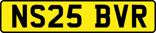NS25BVR