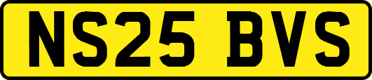 NS25BVS