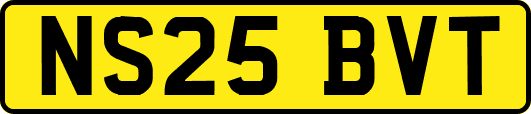NS25BVT