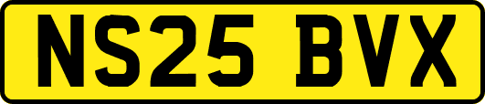 NS25BVX