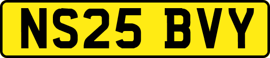 NS25BVY