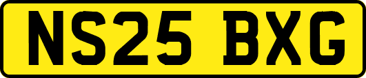 NS25BXG