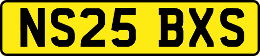 NS25BXS