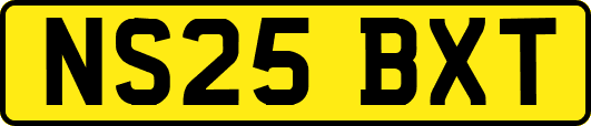NS25BXT