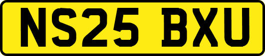 NS25BXU