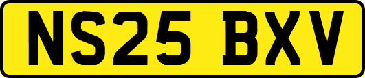 NS25BXV