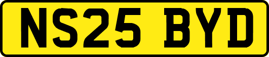 NS25BYD
