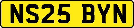 NS25BYN