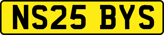 NS25BYS