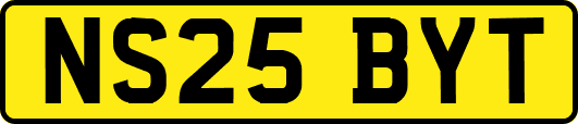 NS25BYT