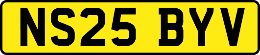 NS25BYV