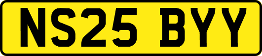 NS25BYY
