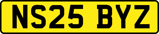 NS25BYZ