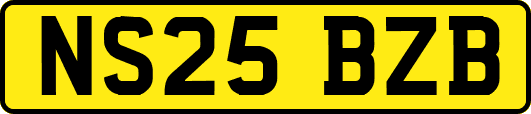 NS25BZB