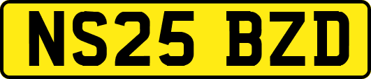 NS25BZD