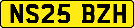 NS25BZH