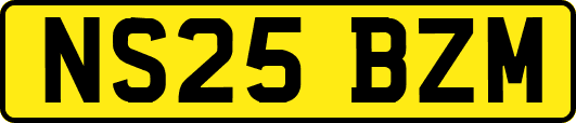 NS25BZM