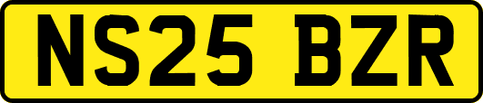 NS25BZR