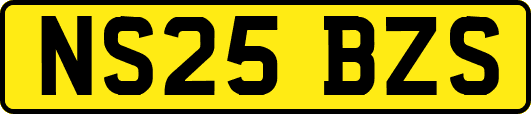 NS25BZS
