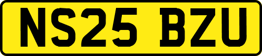 NS25BZU