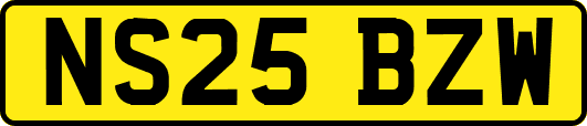 NS25BZW