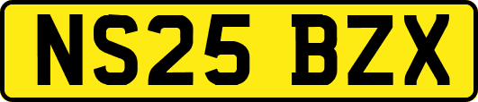 NS25BZX