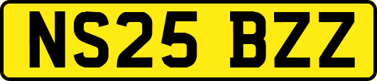 NS25BZZ
