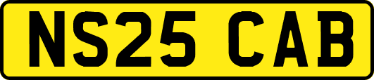 NS25CAB
