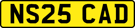 NS25CAD