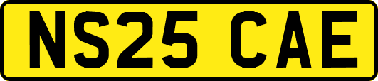 NS25CAE