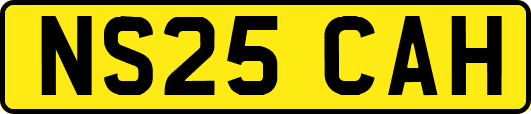 NS25CAH