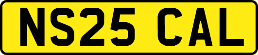 NS25CAL